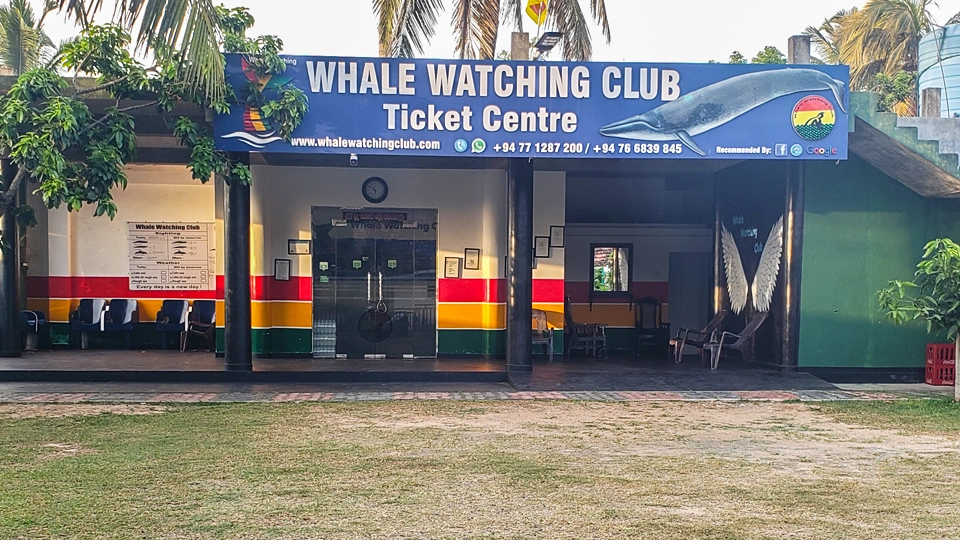 Whale watching club office