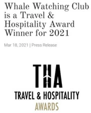 Whale Watching Club is a Travel & Hospitality Award Winner for 2021